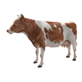 cow