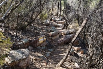 Trail markers