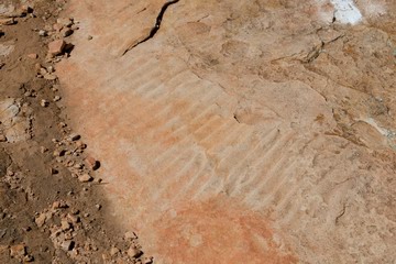 Fossilised ripples