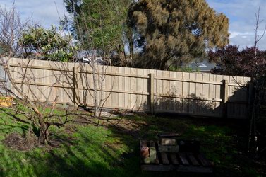 Repaired Fence