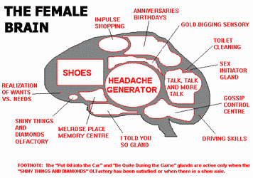 Female Brain