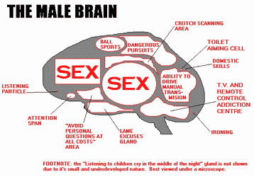 Male Brain