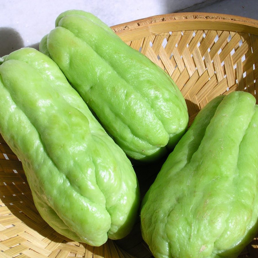 Chayote