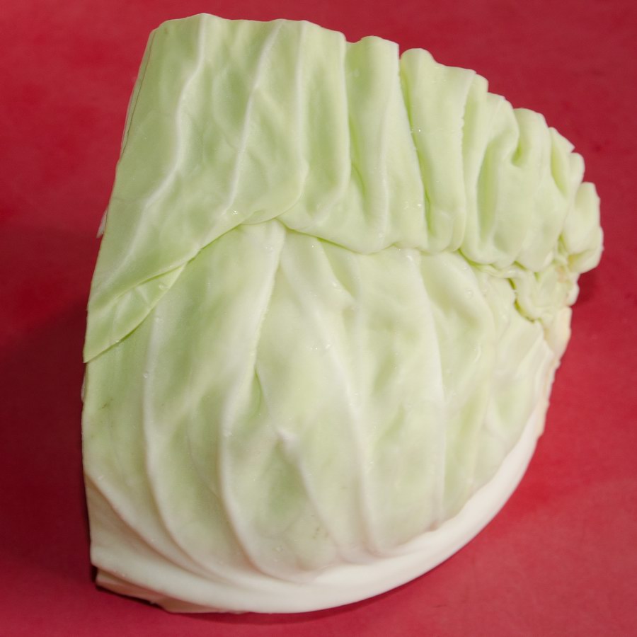 Green Cabbage