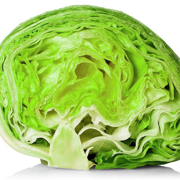 Iceberg Lettuce