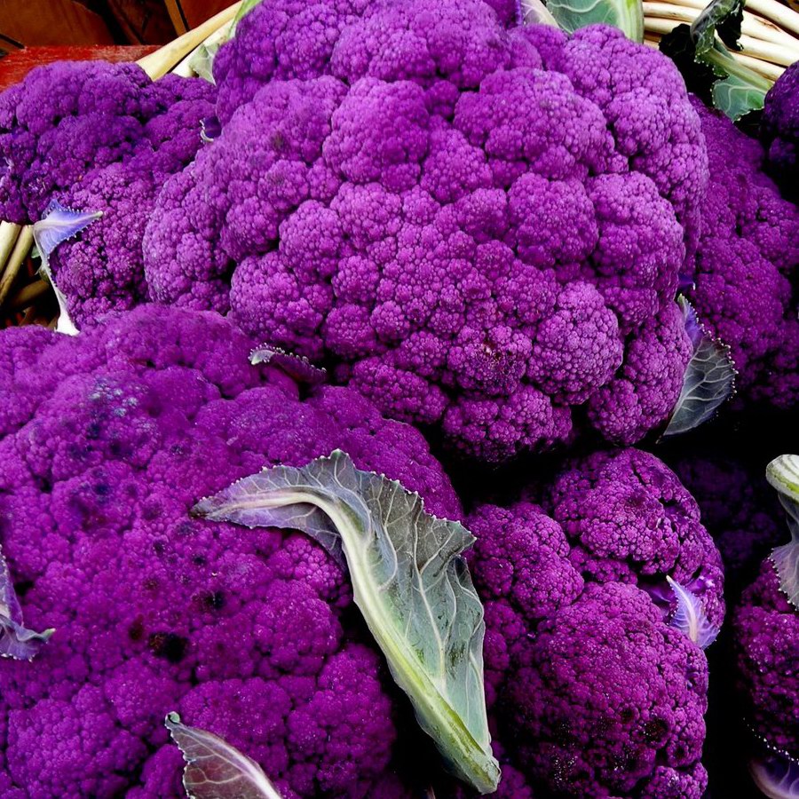 Purple Cauliflower