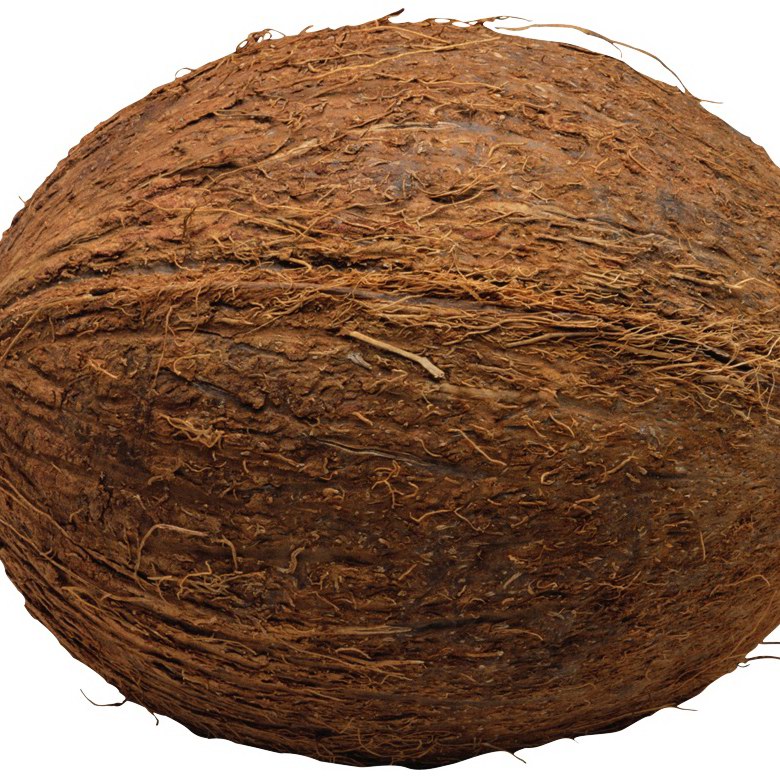 Coconut