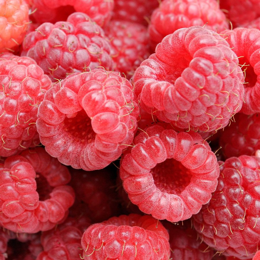 Raspberries