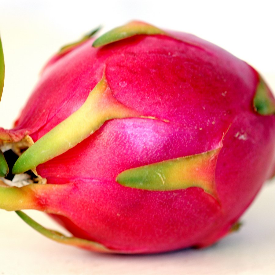 Dragon Fruit