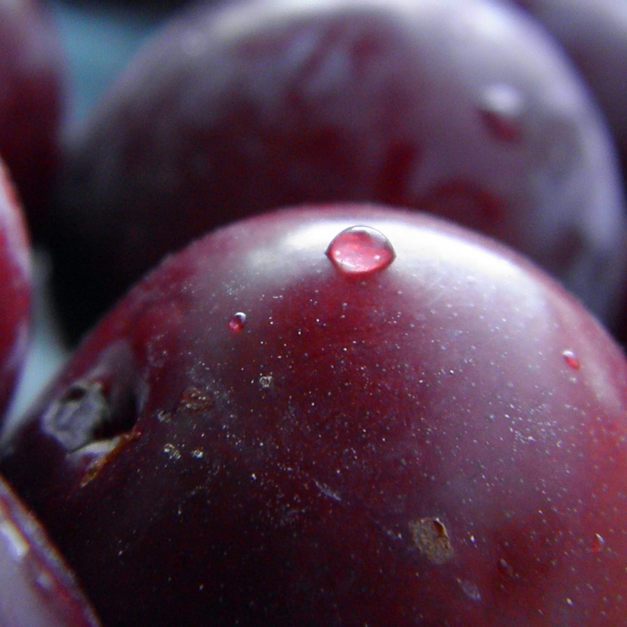 Red Plum